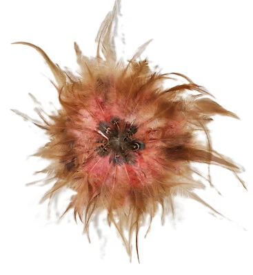 Federteller D: 15 cm  Huhn Federn  braun-rosa  Kranz Deko Ostern / 1377220707 - Bild 1 von 3
