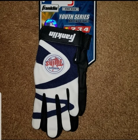 Minnesota Twins Youth Baseball Gloves 4 of 4 Cover