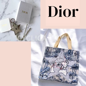 Christian Dior Tote Bag 2024 Gifts for Platinum Members & Star Key Chain Ring - Picture 1 of 12