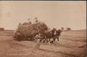 1910 Philmont New York Postcard - Horses Pulling Wagon of Hay - Farm Photo - Picture 1 of 2