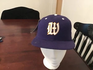 Williams College Zephyrs Hat size 6 3/4 - Picture 1 of 3