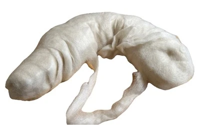 Alpaca roving White Huacaya 4 Oz - Image 1 of 2