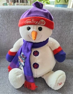 Rare.1999 Vintage Tesco. Chilly Snowman With Purple Hat ,Scarf ,Gloves.60cm.Tag. - Picture 1 of 13