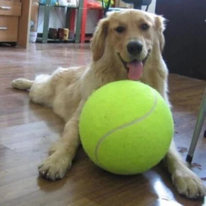 24cm/9.5" Big Tennis Ball Cat Dog Inflatable Toy Pets Training Toy Silicone INT - Picture 1 of 7