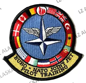 US AIR FORCE EURO-NATO JOINT JET PILOT TRAINING ENJJPT PATCH (AFB) SHEPPARD AFB - Picture 1 of 3