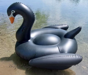 XXL aufblasbar Schwimmtier / Luftmatratze  schwarzer Schwan ~190x170x130cm - Bild 1 von 7