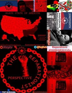 reparations for black negro Americans, aka the freedmen! dvd - Picture 1 of 12