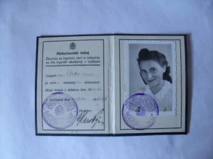 Legitimation Königreich Italien Provinz Ljubljana 1941 - Bild 1 von 3