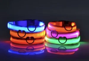 Glow-In-The-Dark Pet Collar For Any Size Dog XS, S, M, L, XL - Picture 1 of 7