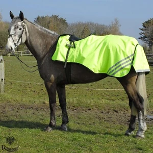 Alfombra impermeable recortada de Rhinegold transpirable forrada de lana ALTA VISIBILIDAD - Imagen 1 de 8