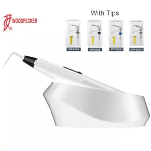 Woodpecker Dental DBA Gutta Percha Pen Obturation System FI-P + Spitzen - Bild 1 von 7