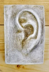 Michelangelo's David Ear Greek Roman Art Wall Plaques Sculpture - Picture 1 of 4