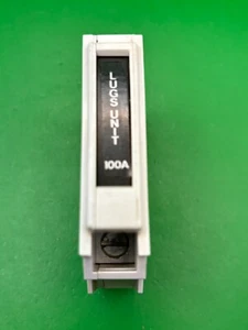 Square D QO1100L 100A Direct Connection Lugs Unit - Picture 1 of 4