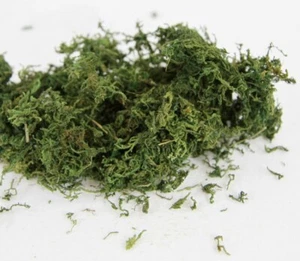 50g DRIED MOSS, LOOSE - ARTIFICIAL, FAKE, FAIRY GARDEN, DIY CRAFT PROJECT, VASE - Bild 1 von 4