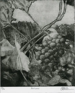 GRAPEVINE Wine Grapes VINEYARD Original MEZZOTINT Pencil Signed.  LISTED ARTIST - Picture 1 of 2