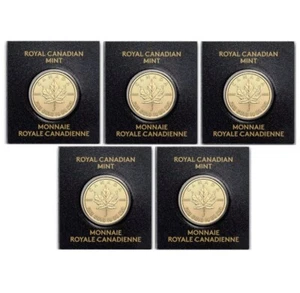 Lot of 5 - 2024 1 gram Gold Maple Leaf Coin - Maplegram Assay Charles III Effigy - Picture 1 of 7
