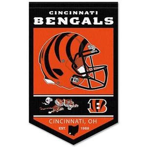 Cincinnati Bengals History Heritage Logo Banner Flag - Picture 1 of 5