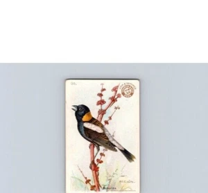 1922 Arm & Hammer Useful Birds of America 3rd Series Bobolink No 25 - Picture 1 of 2