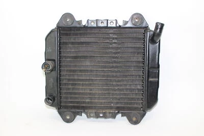 Kawasaki Ninja 250r 1989 1990 92-07 radiador motor enfriador 2251 Foto 1 de 3