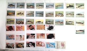 Players Fresh Water Fishes Cigarette Cards 1-25 Angling Times Collect-A-Card x15