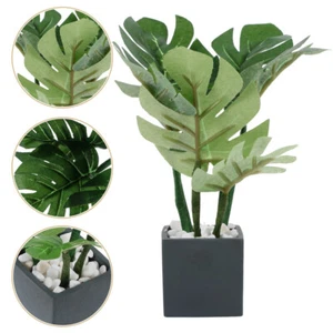  Mini Garden Decoration Miniature Potted Plants for Dollhouse Tiny Bonsai Model - Picture 1 of 12