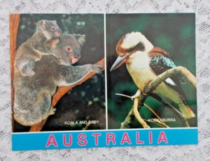 Australische Tiere, Postkarte unbenutzt, Koala und Baby, Kookaburra. - Bild 1 von 2