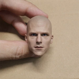 Delicate Painted 1/6 The Smallville Scale Lex Luthor Head Sculpt Fit 12" Figure - Picture 1 of 3