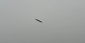 Lápiz de almacenamiento para levas para ROLEX 3035, 5035, stud for cam, part 5092, NUEVO DE LOTE ANTIGUO - Imagen 1 de 3