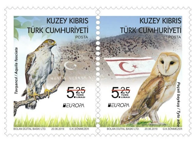 2019  - EUROPA (BIRDS OWL)  - TURKISH CYPRUS - UMM PAIR  STAMPS - Image 1 of 1