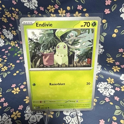 Endivie 008/132 Normal - Bild 1 von 2