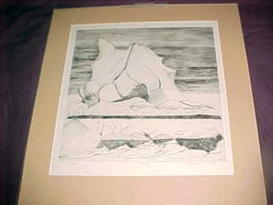 ICEBERG 1/5 etching PENCIL SIGNED E B SWAN - 1975 12" x 14" - Beautiful - Picture 1 of 9