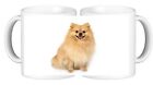 Pomeranian Dog Pet Ceramic Coffee Mug Comes In A Smash Proof Box