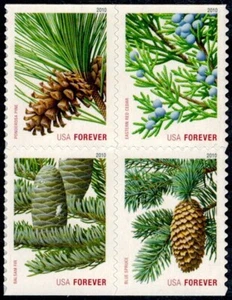 US Scott # 4478-4481 Block Of 4 Stamps MNH, Holiday Evergreens - Picture 1 of 1