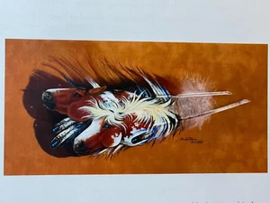 Heaven & Earth Designs Indian Paint Horse Feather Cross Stitch Pattern Chart NOS - Picture 1 of 8
