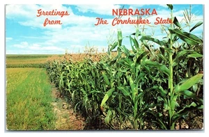 Postal de saludos desde Nebraska Cornhusker State Cornfield - Imagen 1 de 2
