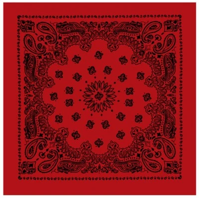 Rothco Trainmen Paisley Bandana – Extra-Large - 27” X 27" | 4349 | Biker - Image 1 of 4