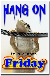 NEW School Classroom Funny Motivational POSTER - Hang On it's Almost Friday - Picture 1 of 1