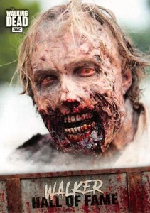Walking Dead Road To Alexandria WALKER HALL OF FAME Trading Card Insert W-5 - Picture 1 of 2