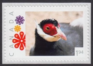 BROWN-EARED PHEASANT ** Picture Postage 1.94 - stamp MNH Canada 2022 [p22-01sn03 - Bild 1 von 2