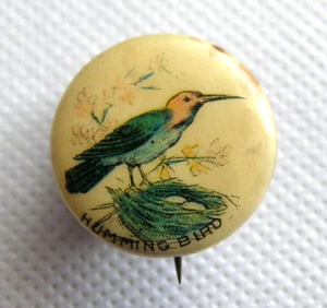 HUMMINGBIRD - U.S.A. 1890's AMERICAN PEPSIN GUM - BIRDS - CELLULOID BADGE (UN14) - Bild 1 von 2