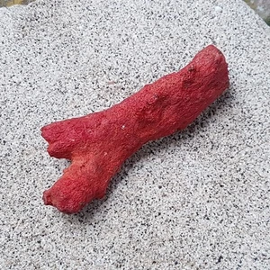 Piedra preciosa suelta de coral rama áspera sin pulir de coral rojo 100 % natural #1 - Imagen 1 de 8