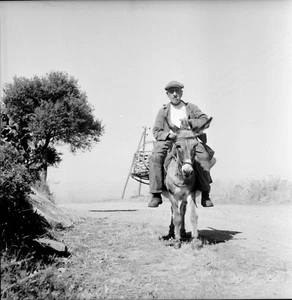 NONZA c. 1950 -  Corse  - 3 Négatifs 6x6 - PROV 185 - Picture 1 of 3