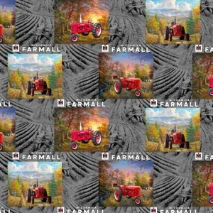 Parche Farmall Country Living - Gris - Imagen 1 de 1