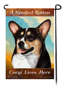 A Spoiled Rotten Tri Cardigan Welsh Corgi Lives Here - Imagen 1 de 1