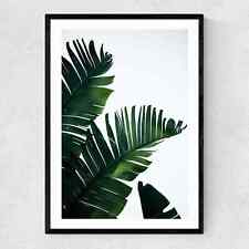 Palm Leaves Wall Art Print Various Sizes