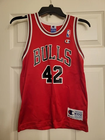 Elton Brand Chicago Bulls #42 Jersey Champion Youth Size Medium 10-12 Cover