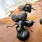 Figurines insectes Coccinelle 3 types vrai livre d'images jouet pour enfants