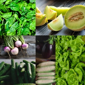 350+ Heirloom Vegetable Seed 7 Variety Garden Set #4 Emergency Survival Non-GMO  - Picture 1 of 9