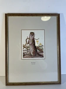 1977 Royal Mail British Wildlife print Patrick Oxenham Otter cottagecore art - Picture 1 of 19