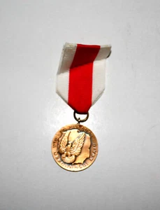 RARE ANCIEN INSIGNE MEDAILLE DECORATIVE - POLOGNE MERITE POUR LA DEFENSE DU PAYS - Imagen 1 de 2